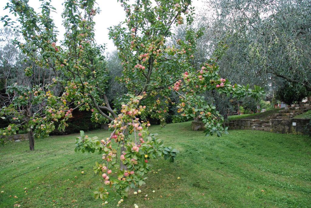 Pelago Podere Le Buche المظهر الخارجي الصورة